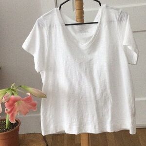 Classic White V-Neck T-Shirt